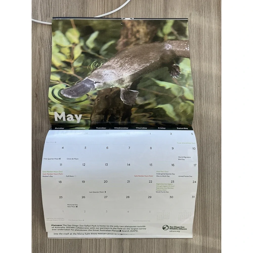 San Diego Zoo Wildlife Alliance Journal Nov/Dec 2024 Pandas w/ 2025 CALENDAR